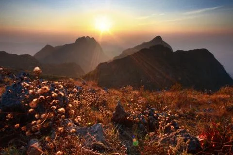 Beautiful landscape Stock Photos