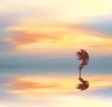 Beautiful landscape Stock Photos