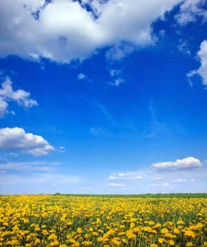 Beautiful landscape Stock Photos