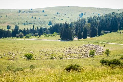 Beautiful landscape. Stock Photos