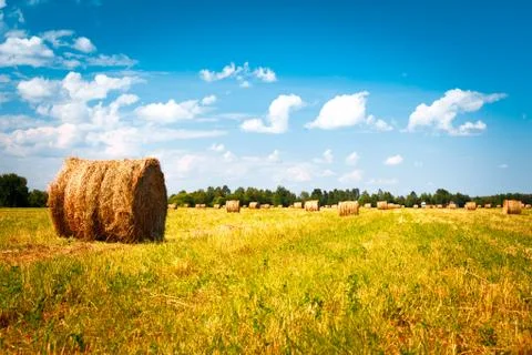 Beautiful landscape Stock Photos