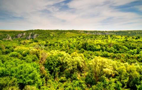 Beautiful landscape Stock Photos