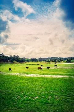 Beautiful landscape Stock Photos