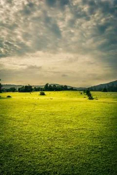 Beautiful landscape Stock Photos