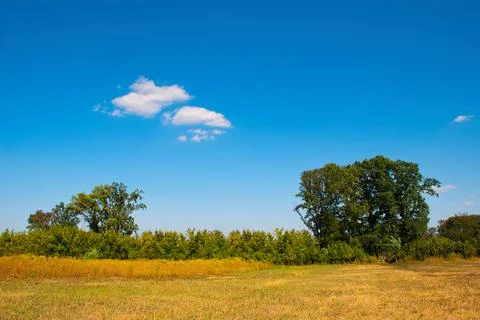 Beautiful landscape Stock Photos