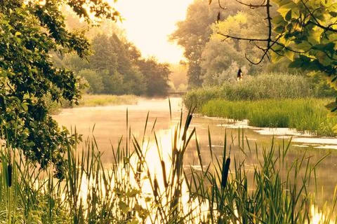 Beautiful landscape Stock Photos