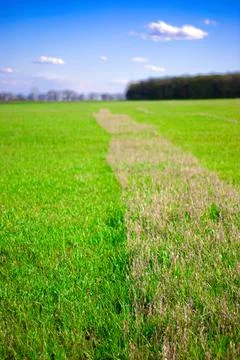 Beautiful landscape Foto stock