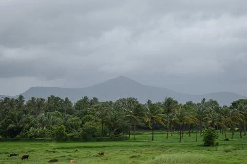 Beautiful landscape Stock Photos