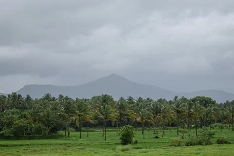 Beautiful landscape Stock Photos