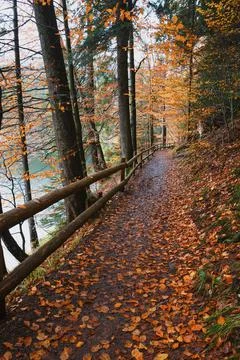 A beautiful landscape Foto stock