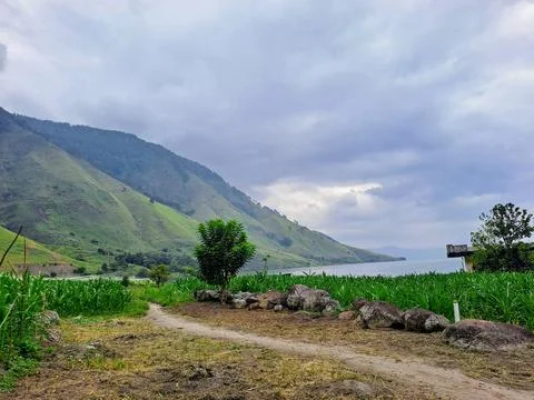 Beautiful landscape Stock Photos