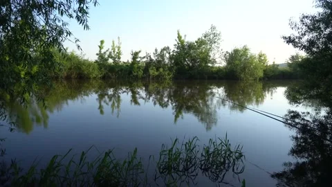Beautiful landscape of the river against the backdrop of green trees. Stock Footage 171409569