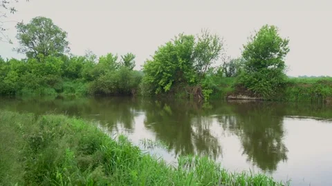 Beautiful landscape of the river against the backdrop of green trees. Stock Footage 171409624