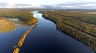 Beautiful Landscape With River And Autumn Trees Forest. Aerial View Of Autumn Stock Footage