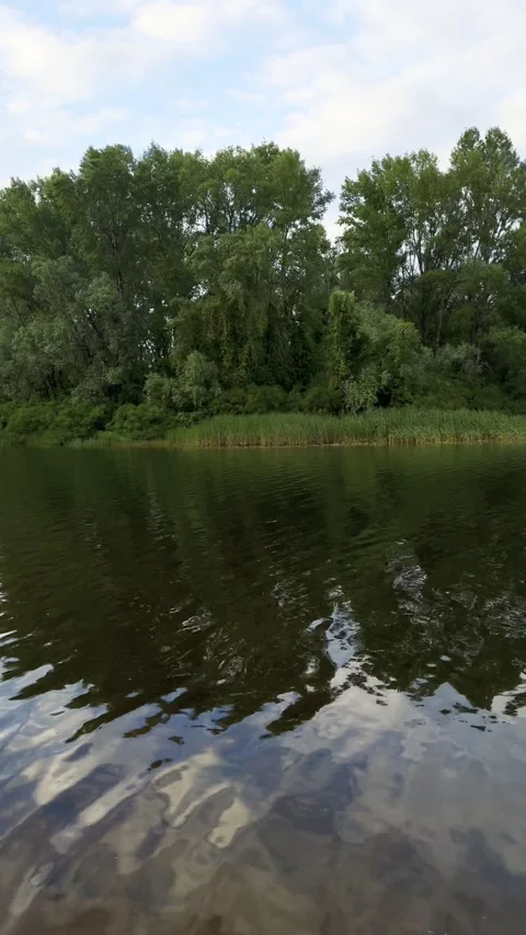 Beautiful landscape on the river Vidéo 310330159