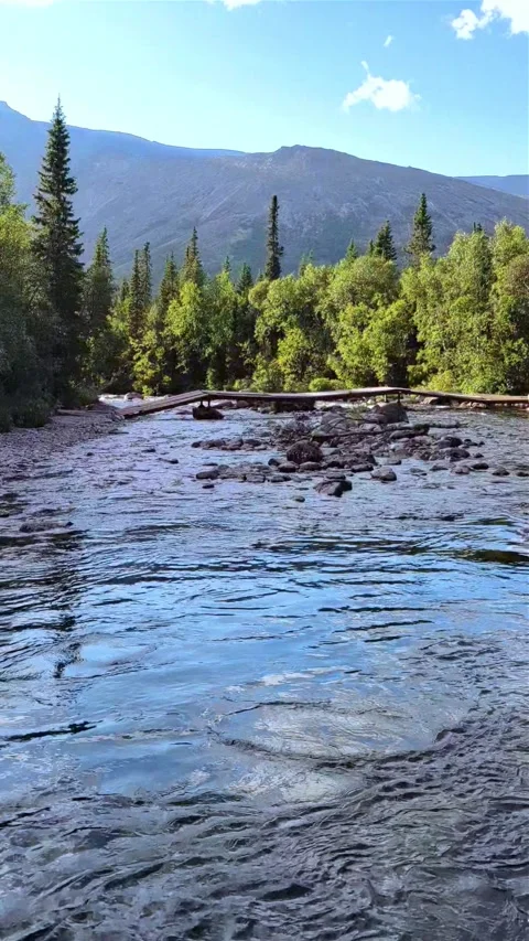 Beautiful landscape with a river in the forest. Stock Footage 292636159