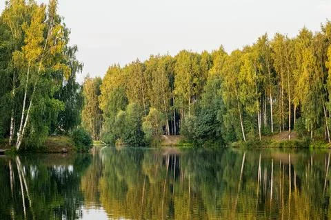 Beautiful landscape on the river with reflection during sunset. Stock Photos
