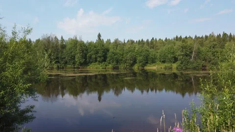 Beautiful landscape on the river in summer. Reflection of trees in the water. Video stock 156948180