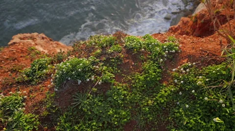 Beautiful landscape scene Stock Footage 49471256