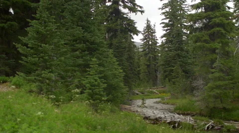 Beautiful landscape shot Stock Footage 58822455