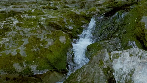 Beautiful landscape, a small stream flows down the green-covered rocks, a rapid Stock Footage 131063745