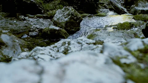 Beautiful landscape, a small stream flows down the green-covered rocks, a rapid Stock Footage 131064244
