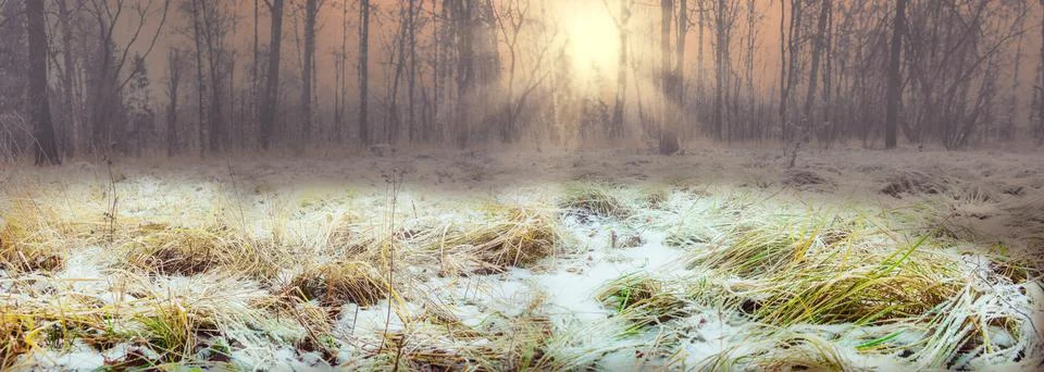 Beautiful landscape sun in the morning snow-covered field grass early snow Stock Photos