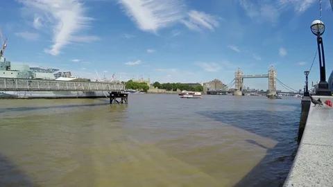 Beautiful landscape of Tower Bridge and pigeons on a sunny day in London, UK Stock Footage 79507295