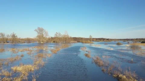 Beautiful landscape - trees standing in thawed water against blue sky background Stock Footage 152901590