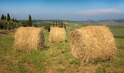 Beautiful landscape with twisted haystack in a field near a garden in Tuscany Stock Photos