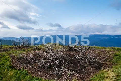 Beautiful landscape of Ukrainian Carpathian mountains Stock Photos