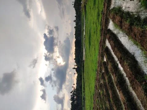 Beautiful Landscape View in fields at sunset time with clouds and sky Stock Photos