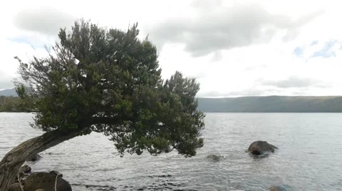 Beautiful landscape view Stock Footage 46487968