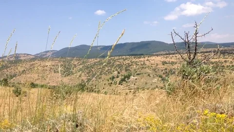 Beautiful landscape view Stock Footage 83188822