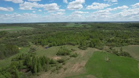Beautiful landscape view of the forest Stock Footage 196382894