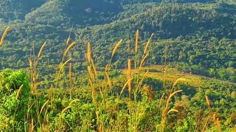 A beautiful landscape view of green mountain valleys with grassy slopes. 4K Видео 340077862