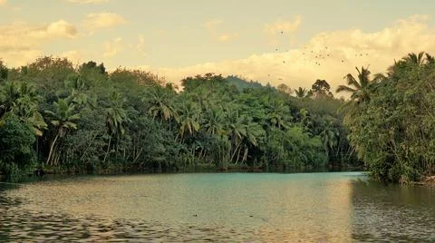 Beautiful landscape view from river above Thiruparappu falls. Amazing natural Stock Photos