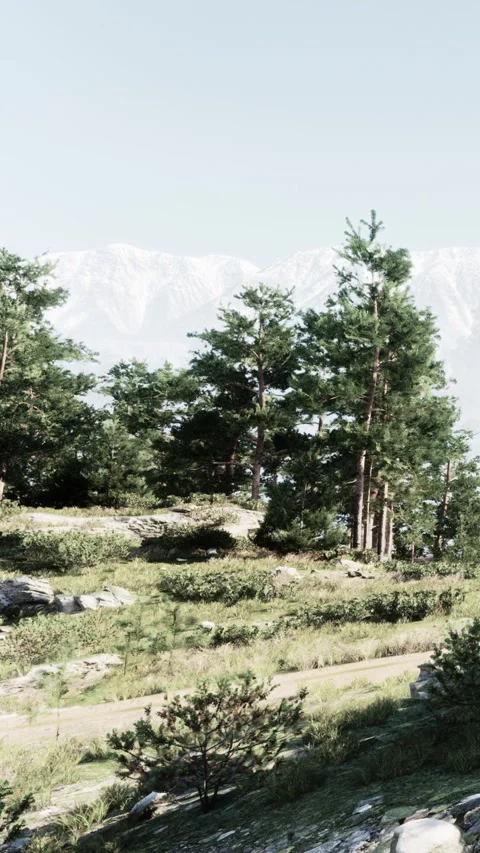 Beautiful landscape view with trees and mountains during daytime in nature Stock Footage 335189523