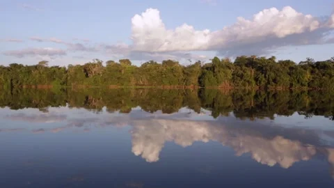 Beautiful landscape view of Xingu river in sunny summer day in amazon rainforest Stock Footage 159720551