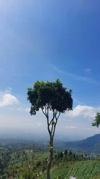 Beautiful landscapes in the mountains of Central Java Fotos Stock