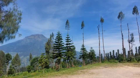 Beautiful landscapes in the mountains of Central Java Stock Photos