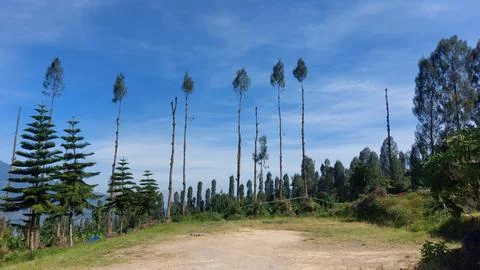Beautiful landscapes in the mountains of Central Java Stock-Fotos