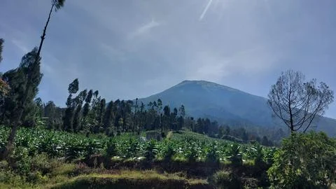 Beautiful landscapes in the mountains of Central Java Foto stock