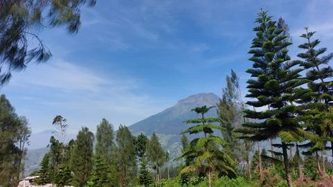 Beautiful landscapes in the mountains of Central Java Foto stock