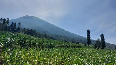 Beautiful landscapes in the mountains of Central Java Stock-Fotos