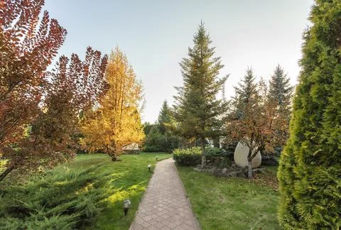 Beautiful landscaping of personal plot. Beautiful lawn and various trees Stock Photos