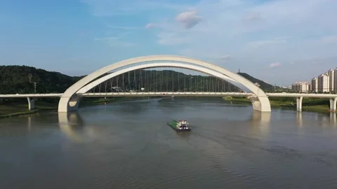 Beautiful large cable-stayed bridge Video stock 234732100