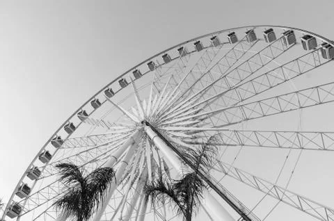 Beautiful large Ferris wheel in black and white Stock Photos