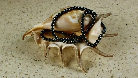 A beautiful large sea shell wrapped in a long string of black pearls lies on a Stock Footage 221732216