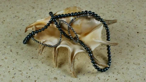 A beautiful large sea shell wrapped in a black pearl bracelet and a long string Stock Footage 222686194